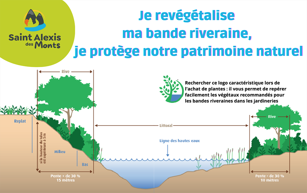 Schéma de revitalisation d'une bande riveraine