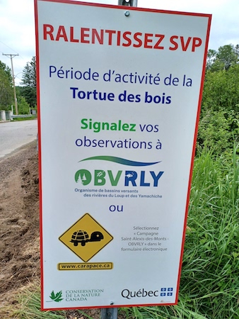 Panneau routier d'avertissement de période d'activité pour la tortue des bois en Mauricie